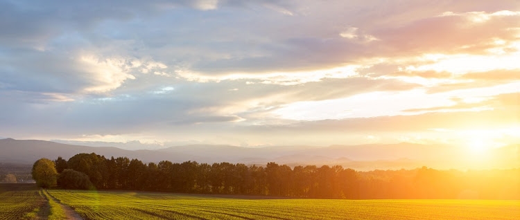 A blueprint for how Africa can play to its strengths