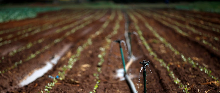 Miners&rsquo; destruction of arable land puts food security at risk