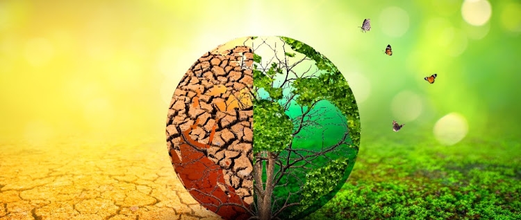 Climate change report a reminder that all is not lost